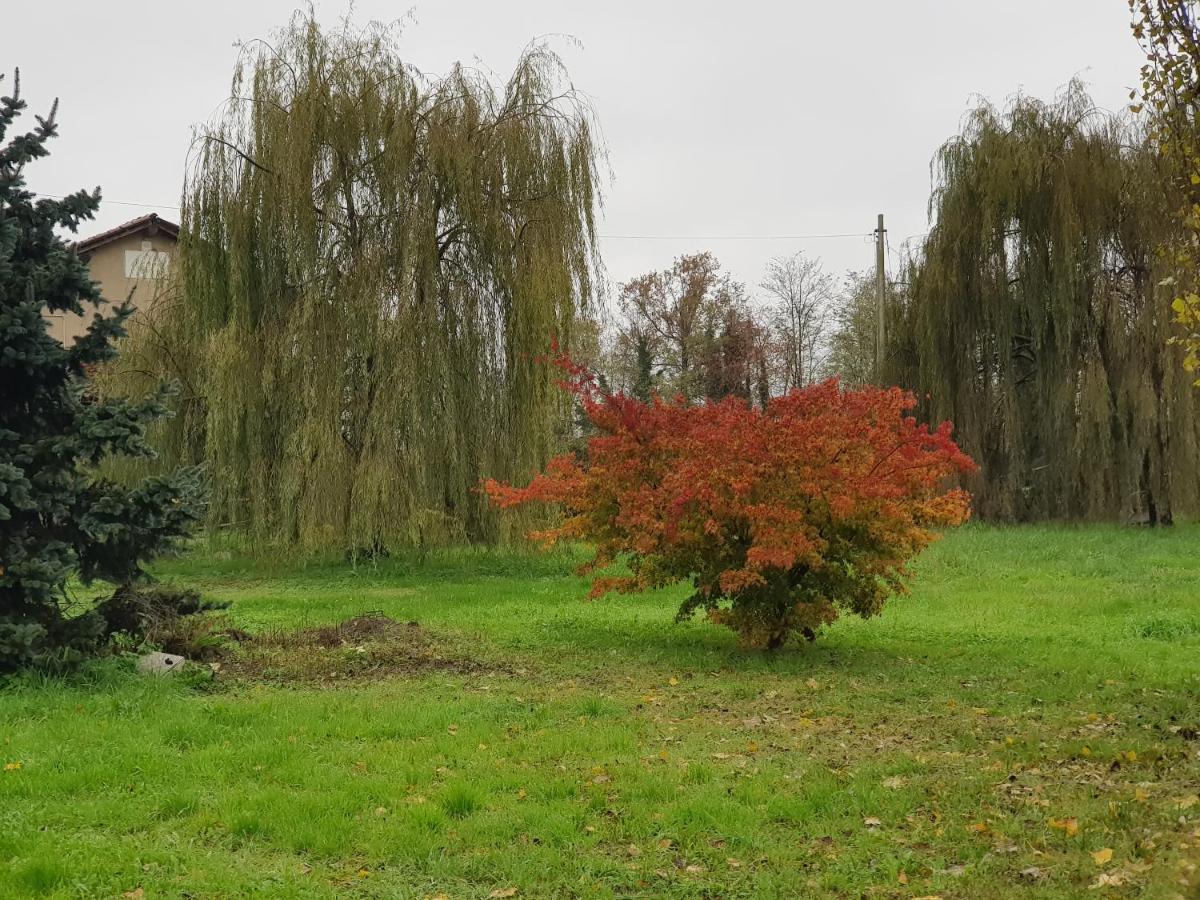 Az.Agr.Cascina Moretta Momo Extérieur photo